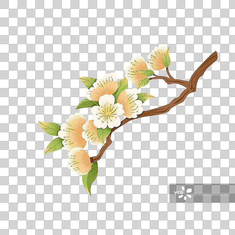 手绘古风花卉素材图片素材