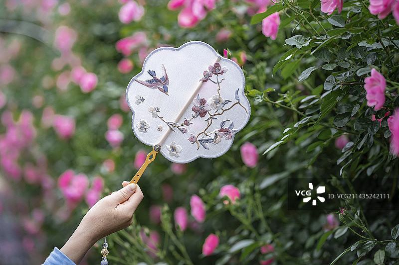 粉色花墙前手持一把国风团扇图片素材