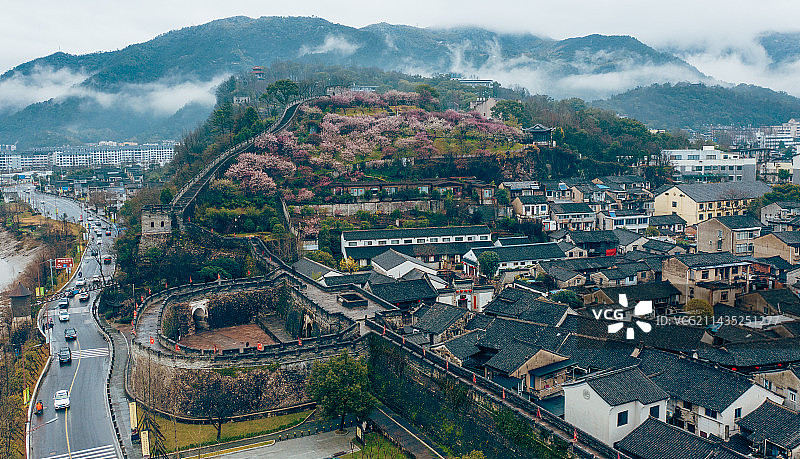 台州府城梅园图片素材