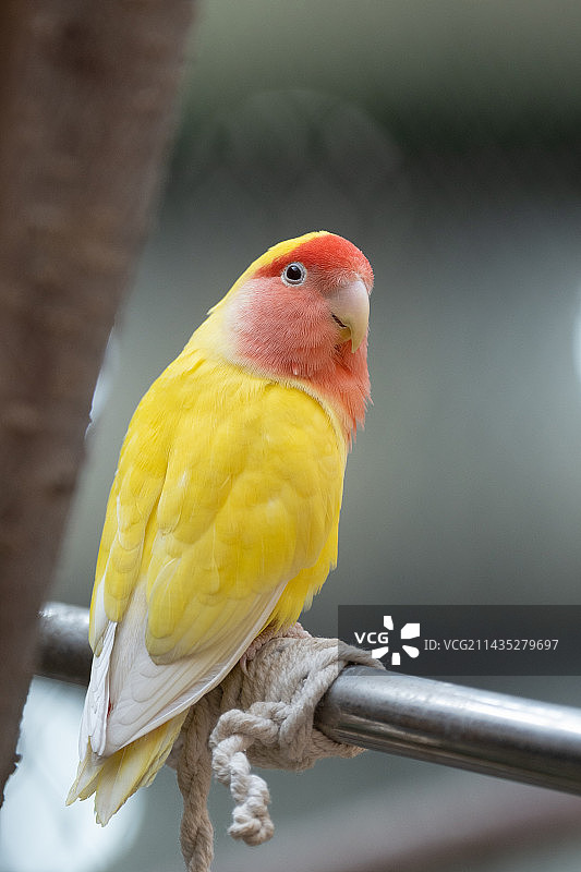 太原动物园图片素材