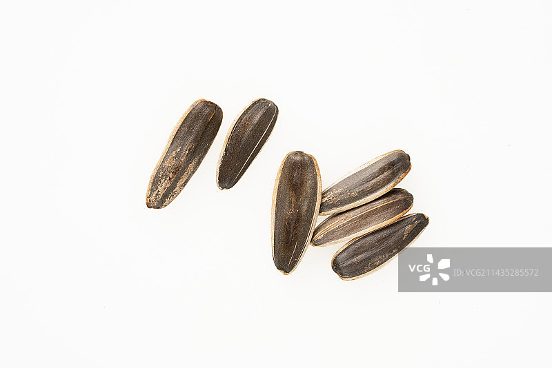 西瓜子图片素材