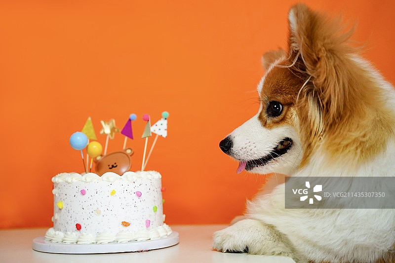 生日聚会上的蛋糕图片素材