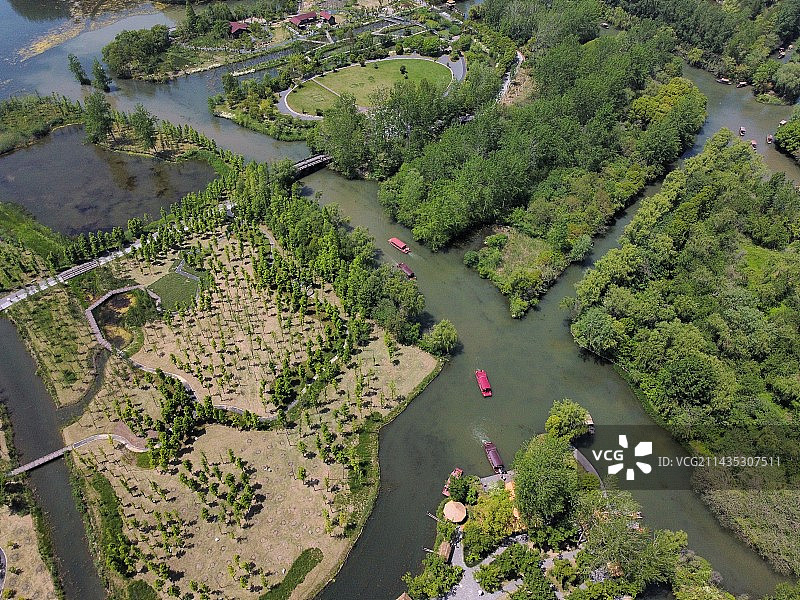 溱湖国家湿地公园图片素材