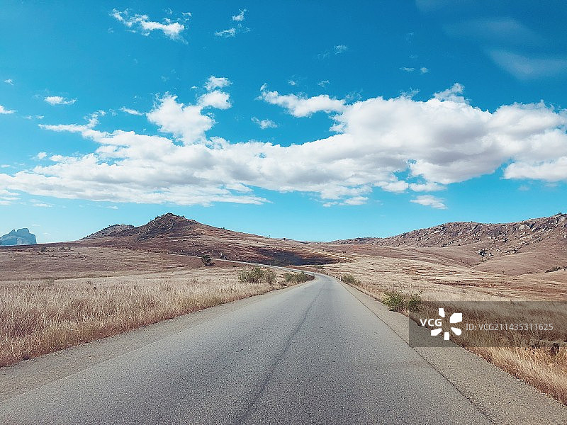 非洲马达加斯加野奢图片素材