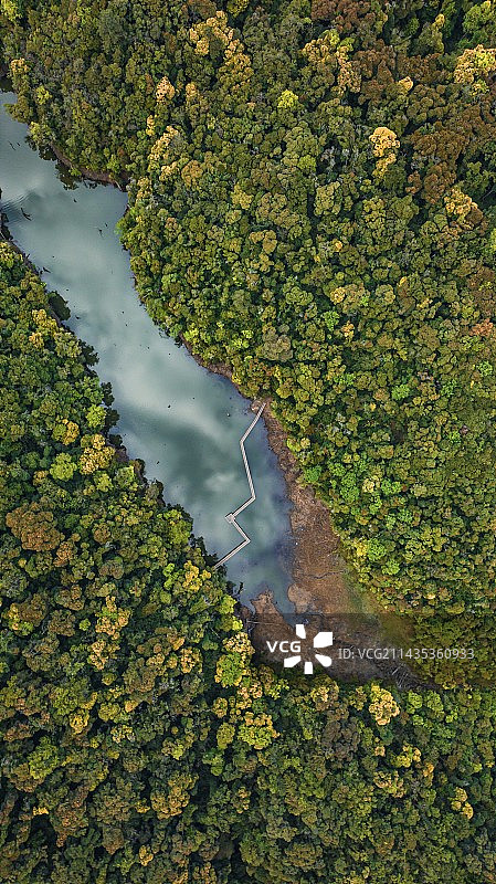 高原明珠杜鹃湖图片素材