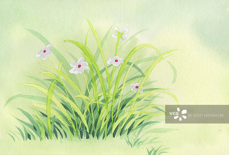 草丛野花图片素材