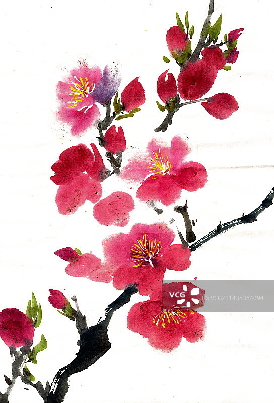 红色的桃花图片素材