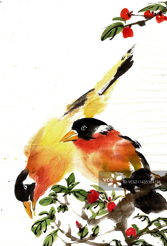 两只小鸟图片素材