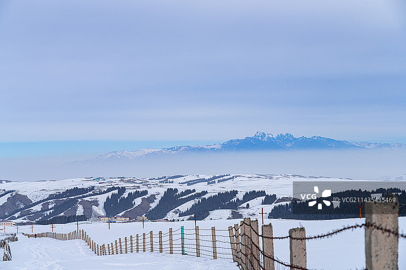 白雪覆盖的 原始森林 雪山 冬天图片素材