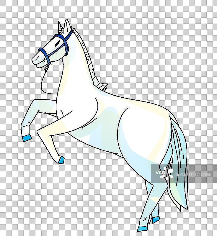 黑色背景下的马的侧视图图片素材