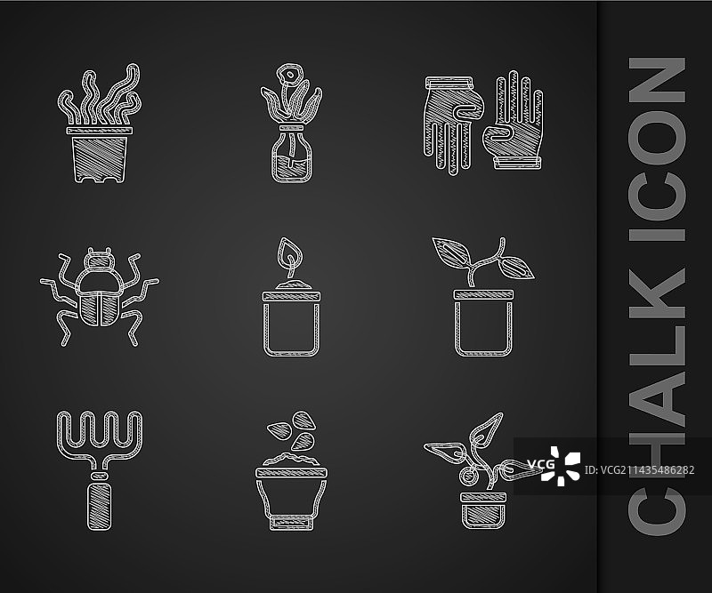 瓶子里的豆芽种子盆栽图片素材