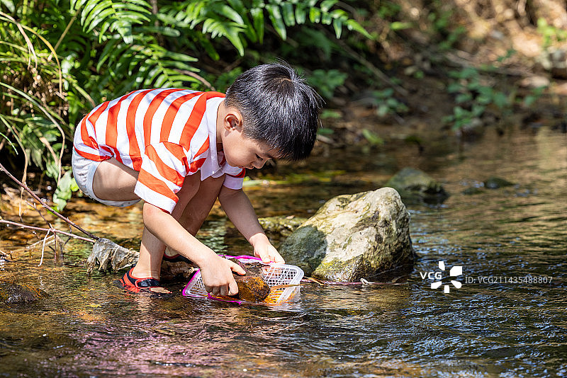 可爱的男孩在小溪里抓鱼图片素材