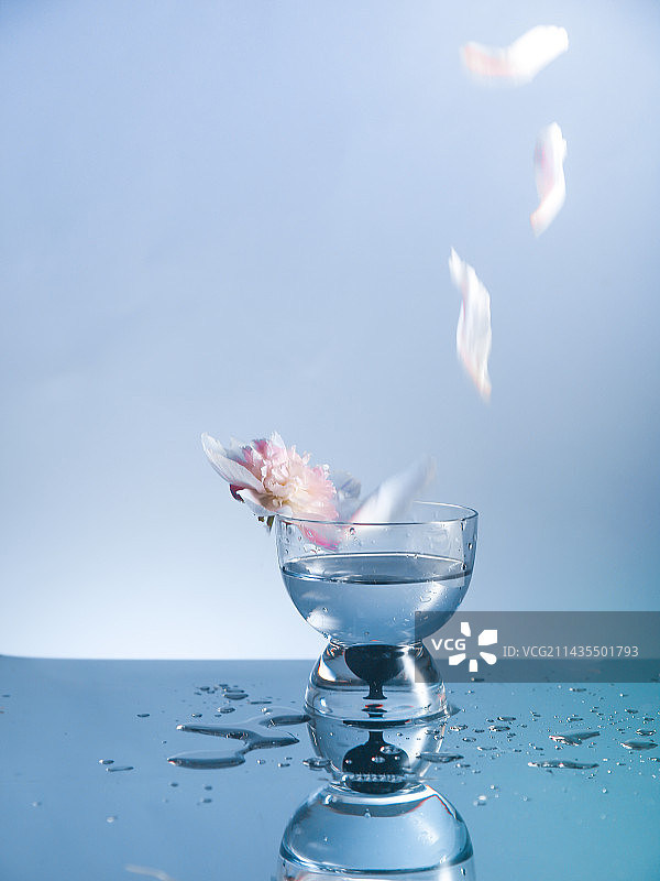 唯美蓝色花瓣玻璃杯图片素材
