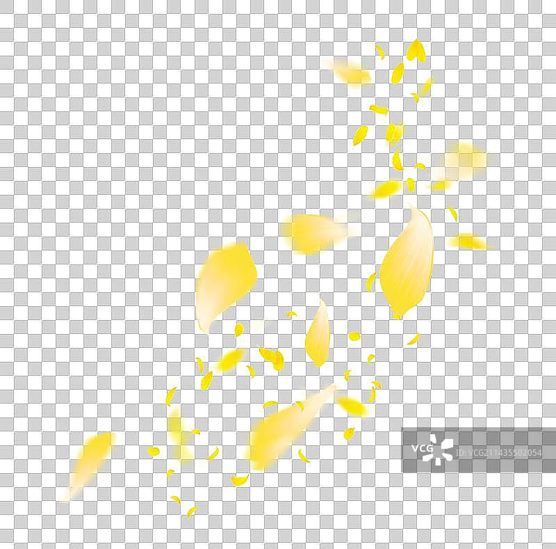 秋天飘零桂花漂浮素材图片素材