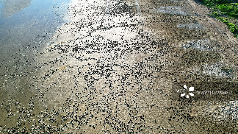 海滩湿沙的脚印高角度视图图片素材