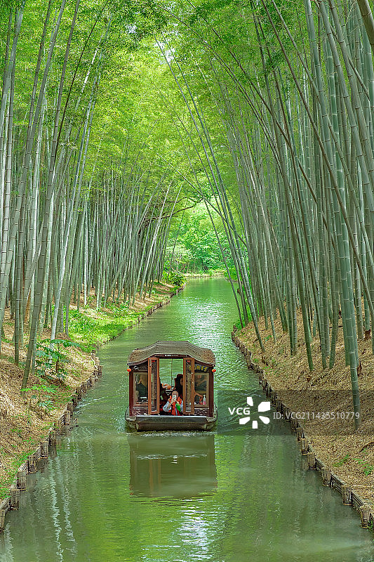 同里湿地公园竹林中小河里的游船图片素材