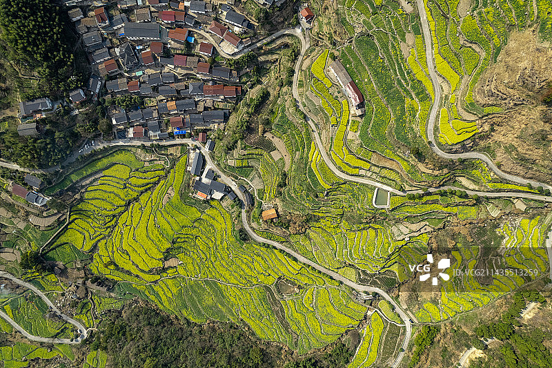 胥岭梯田图片素材