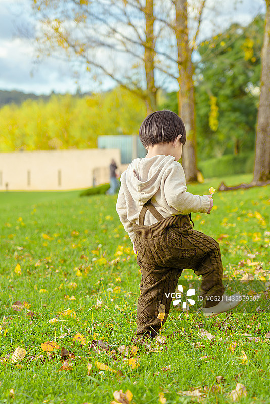 山谷银杏林草坪处的小男孩图片素材