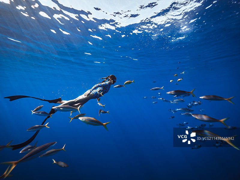 自由潜图片素材