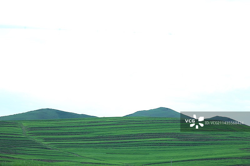 甘肃扎尕那图片素材