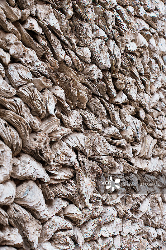 福建泉州蟳埔的蚵壳厝图片素材