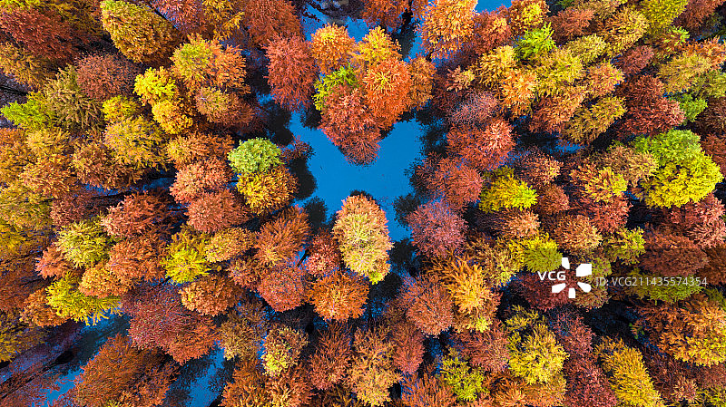 南京秋景图片素材