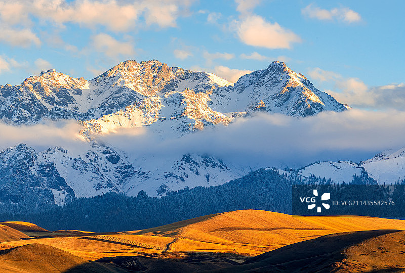 江布拉克图片素材