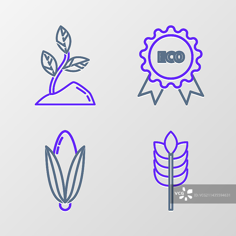 线条元素：谷物大米小麦玉米燕麦黑麦图片素材