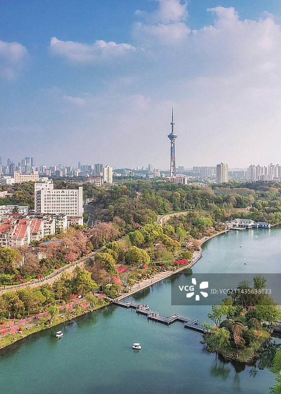 透过山水城林看南京图片素材