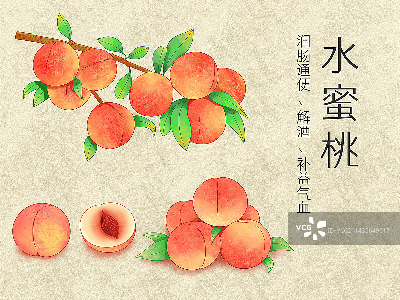 手绘水彩水果水蜜桃插画图片素材