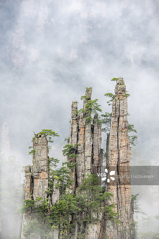 在云雾中若隐若现的御笔峰图片素材