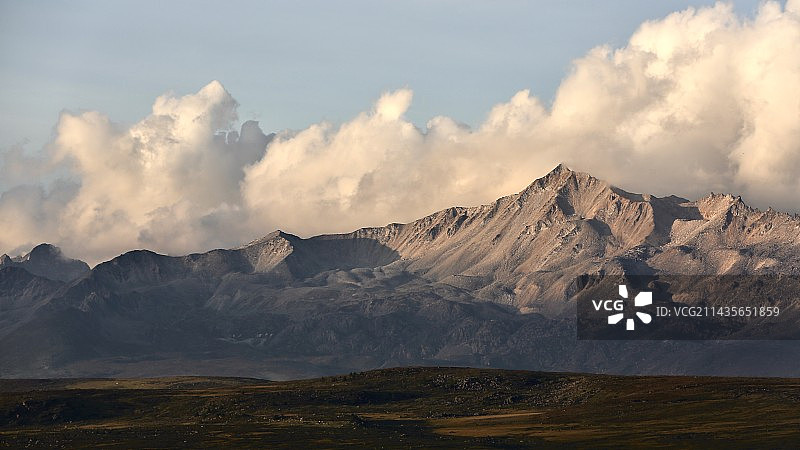 鱼子西图片素材