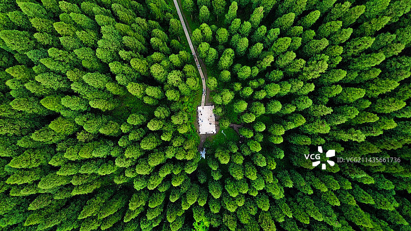 中坝森林公园图片素材