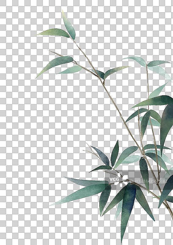 水彩竹子元素图片素材