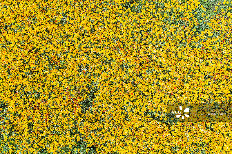 航拍张家口草原图片素材