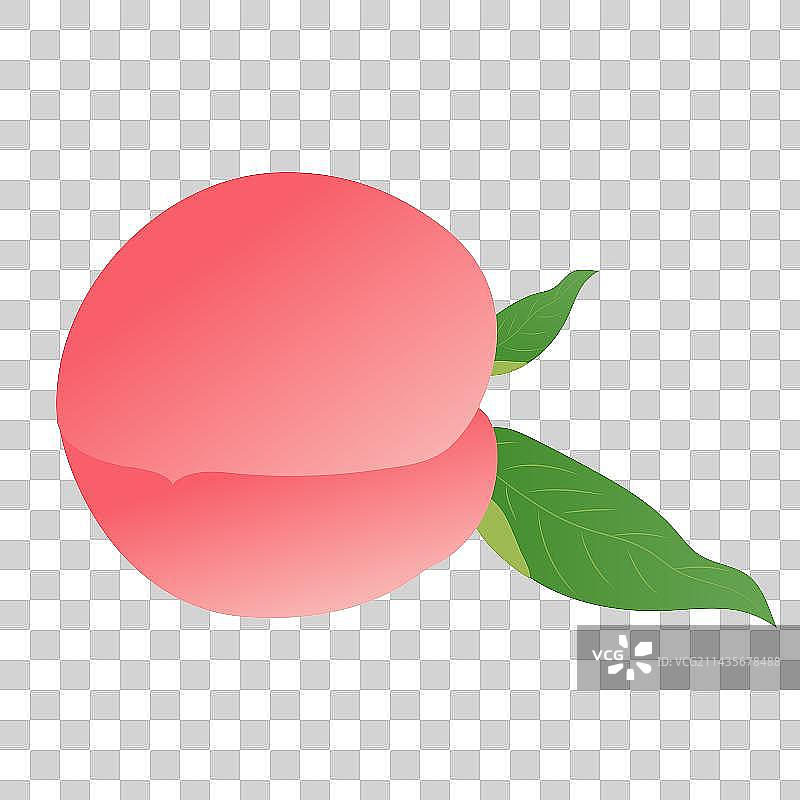 水果夏季热带气候酸甜甜蜜可口的水蜜桃图片素材