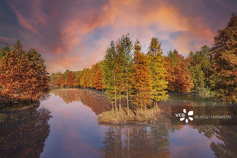 燕雀湖红杉林图片素材