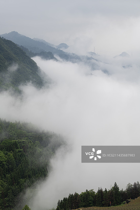 云雾中的重庆綦江区万盛黑山谷自然风光图片素材