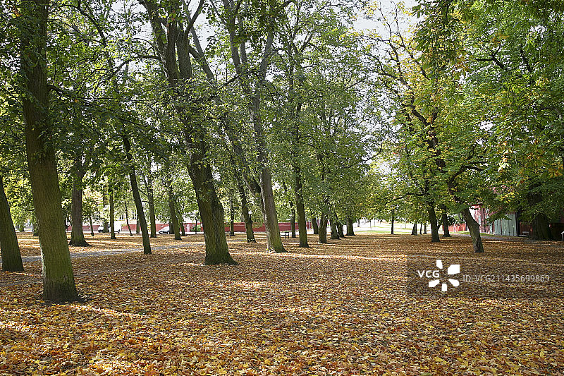 林雪平，林克平，秋天的自然与城市景观图片素材