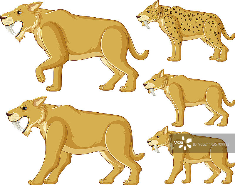 剑齿猫卡通人物合集图片素材