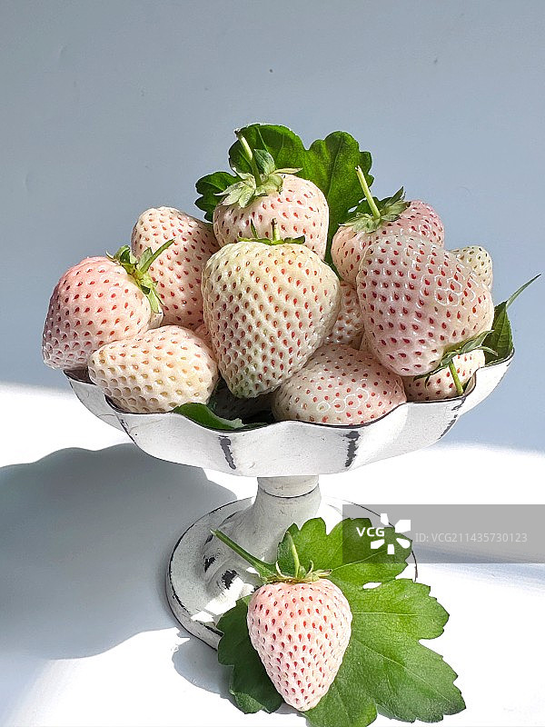 淡雪草莓图片素材