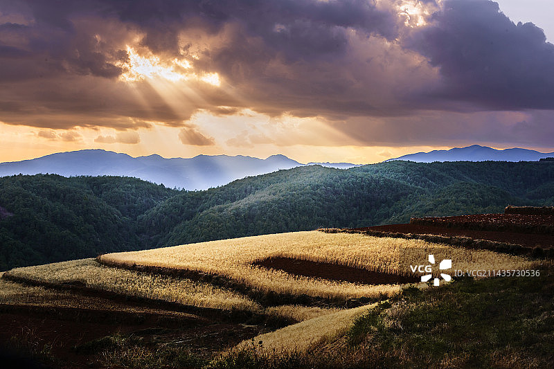 斑斓 — 东川红土地图片素材
