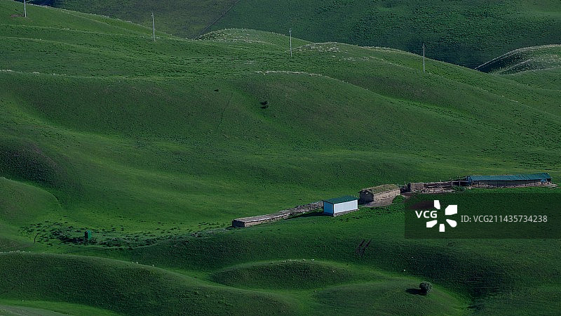 喀拉峻草原图片素材