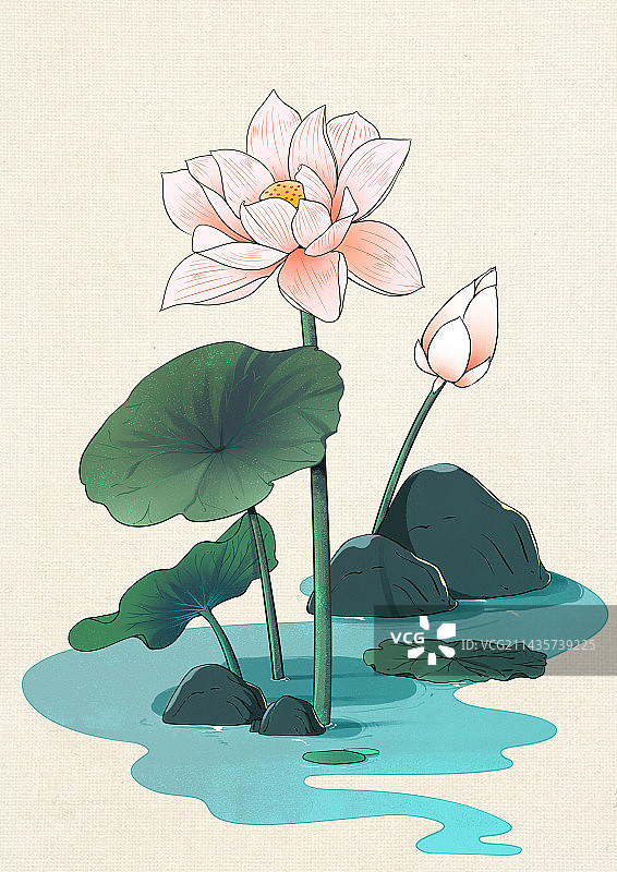 莲叶莲花肌理小场景插画图片素材