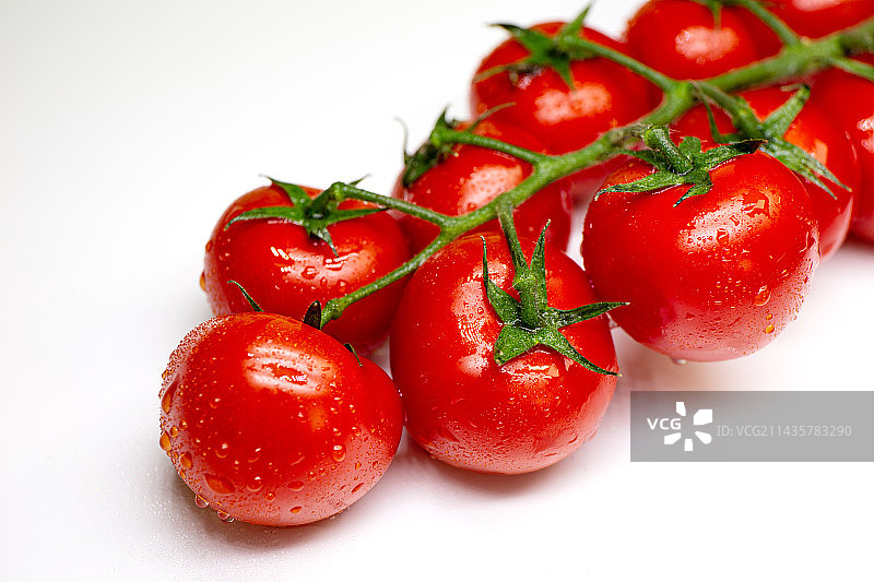 白色背景下的西红柿图片素材