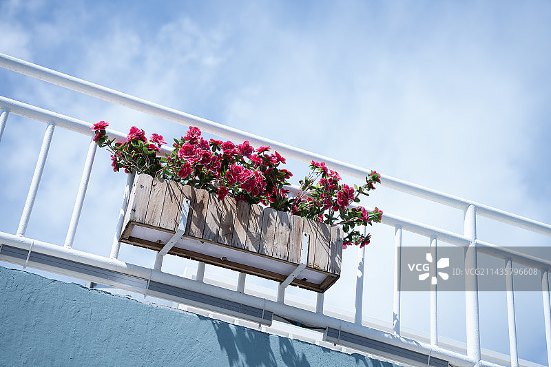 仰望花篮与天空图片素材