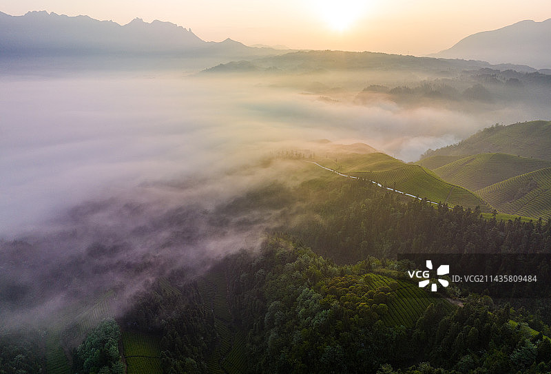 鹤峰木耳山万亩茶园云海日出春光图片素材
