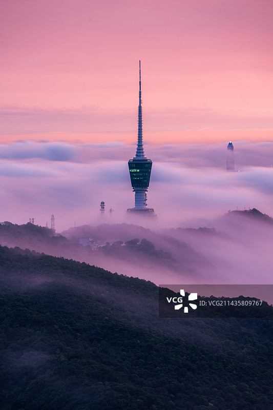 梧桐晚霞云海图片素材