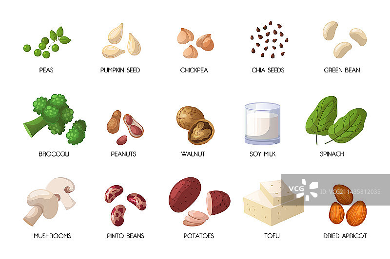 纯素蛋白质来源卡通套装图片素材