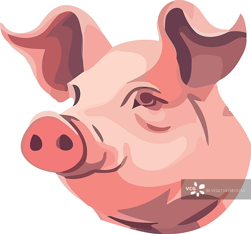 可爱的粉色小猪头图片素材